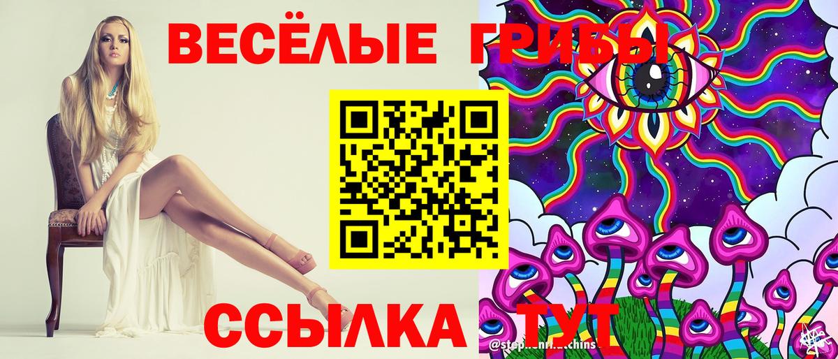 Галлюциногенные грибы Psilocybe Томск