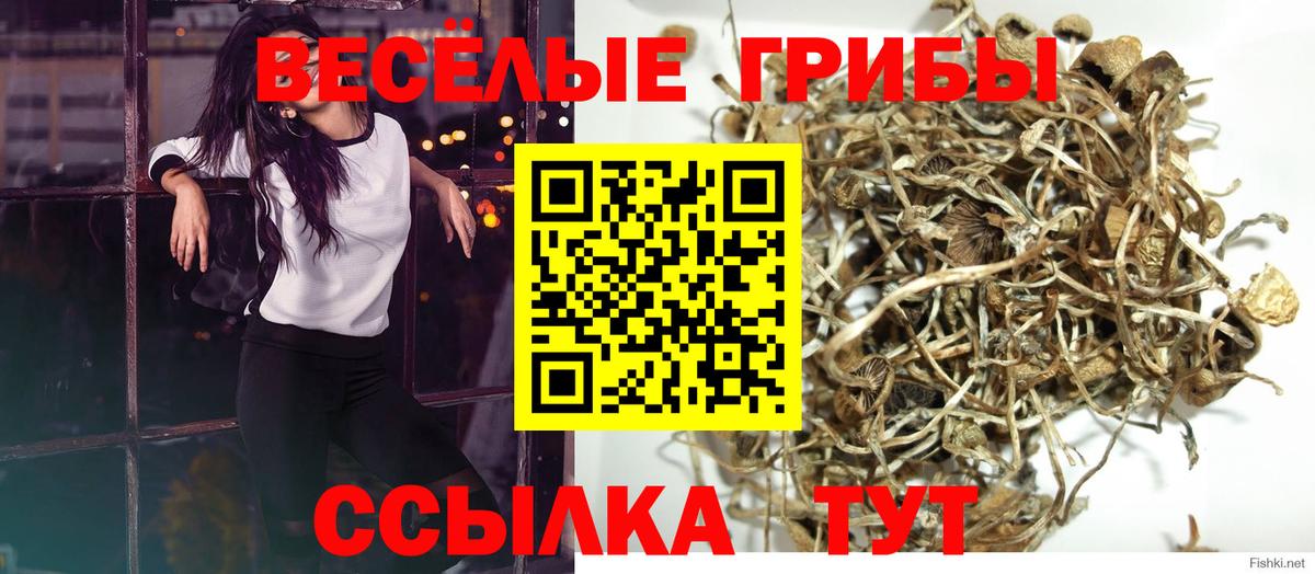 Галлюциногенные грибы GOLDEN TEACHER  Галлюциногенные грибы Magic Shrooms  Томск  Вход с VPN 