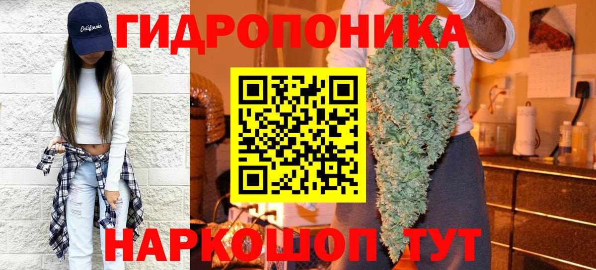 Бошки Шишки AK-47 Томск
